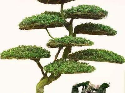 汽車散熱器水箱密封圈密封膠條